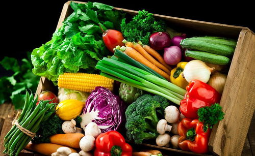 在减肥期间,蔬菜要怎么吃呢 看这五种,让你越吃越瘦
