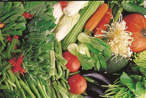 安康中心城区投放150吨应急储备蔬菜